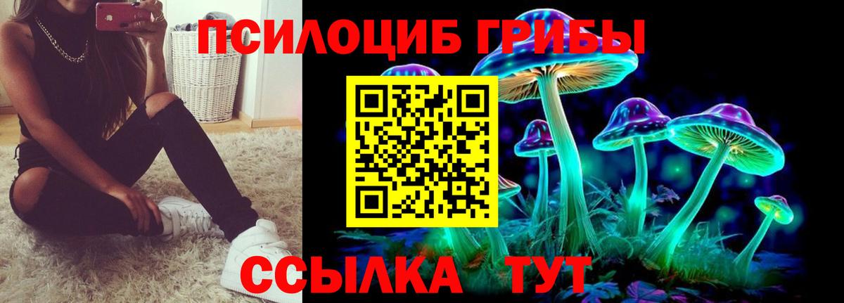 Галлюциногенные грибы мухоморы Каменск-Уральский