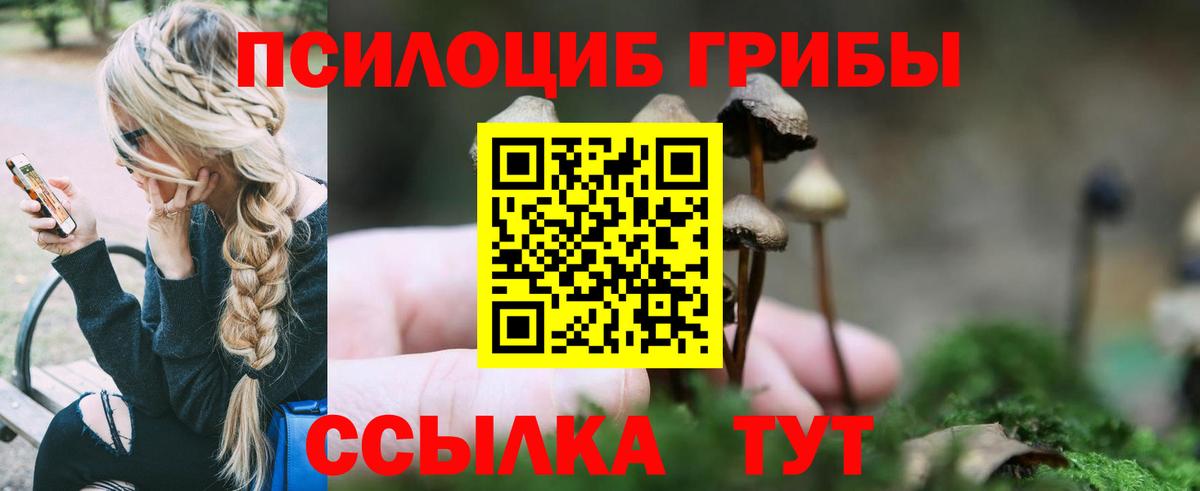 Галлюциногенные грибы Psilocybe  Вход с VPN  Галлюциногенные грибы Magic Shrooms  Каменск-Уральский 